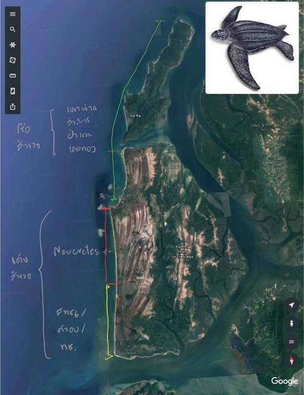 SEAFARERDIVERS's tweet photo. THAILAND (Phang-Nga - Environment) - TURTLE TRACKS FOUND, BUT NO TURTLE NEST ON KOH PHRA THONG
PHUKET: Marine experts and volunteers have failed to find a turtle nest on Koh Phra Thong after turtle tracks were found on a beach.
https://t.co/2dojpW7s7v https://t.co/UhNDSnN3XL