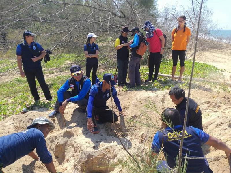 SEAFARERDIVERS's tweet photo. THAILAND (Phang-Nga - Environment) - TURTLE TRACKS FOUND, BUT NO TURTLE NEST ON KOH PHRA THONG
PHUKET: Marine experts and volunteers have failed to find a turtle nest on Koh Phra Thong after turtle tracks were found on a beach.
https://t.co/2dojpW7s7v https://t.co/UhNDSnN3XL