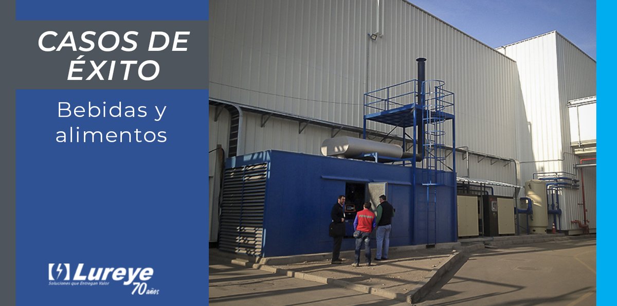 Somos especialistas en solución de problemas energéticos industriales. lureye.cl