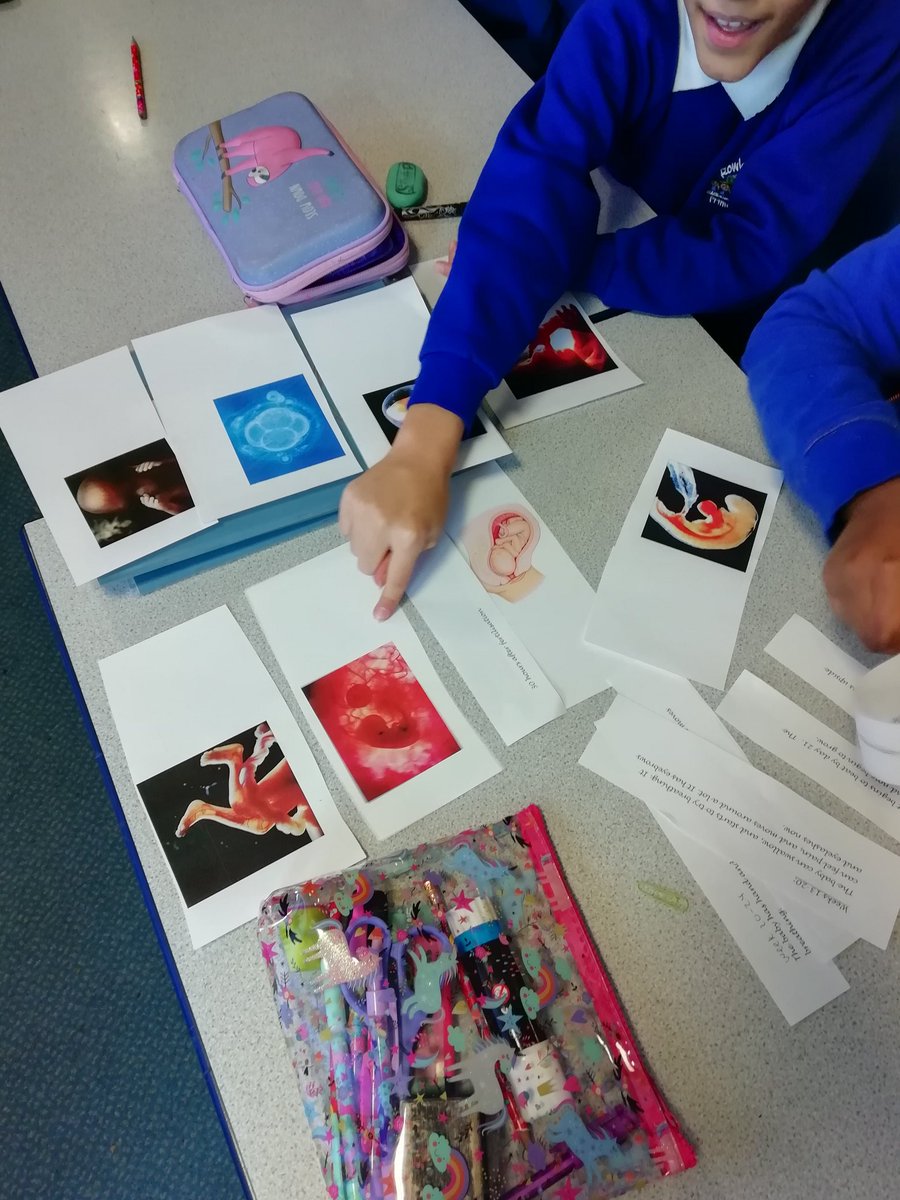 Rowlatts_TMET's tweet photo. Year 5 are now looking at the development of a human foetus during the gestation period. #curiosity #rhscience #sequencing https://t.co/faIqAZT7QW
