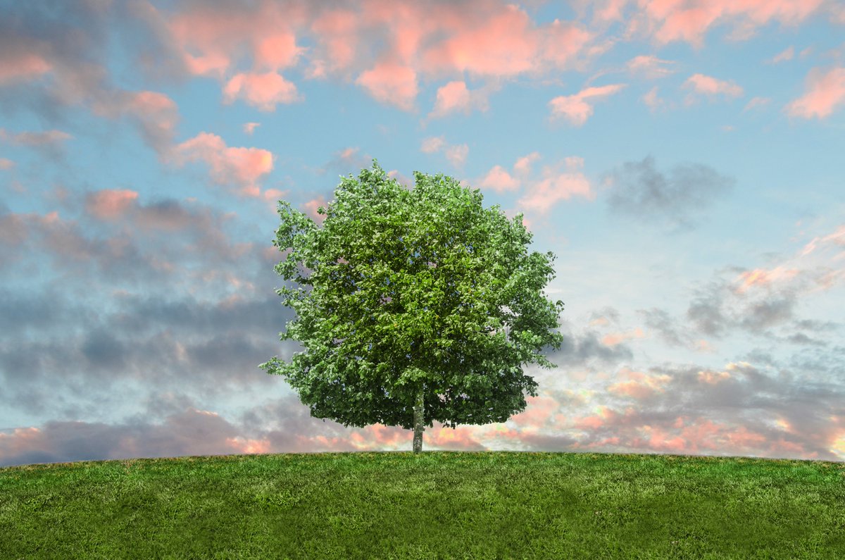 yezcoin's tweet photo. Have you heard about #GoGreenWithYezcoin? You can earn YEZ while promoting pro environmental action! Visit https://t.co/CSWdhYB8Kd to learn more! #yezcoin
Photo by Skitterphoto from Pexels https://t.co/Utsl2CAVoV