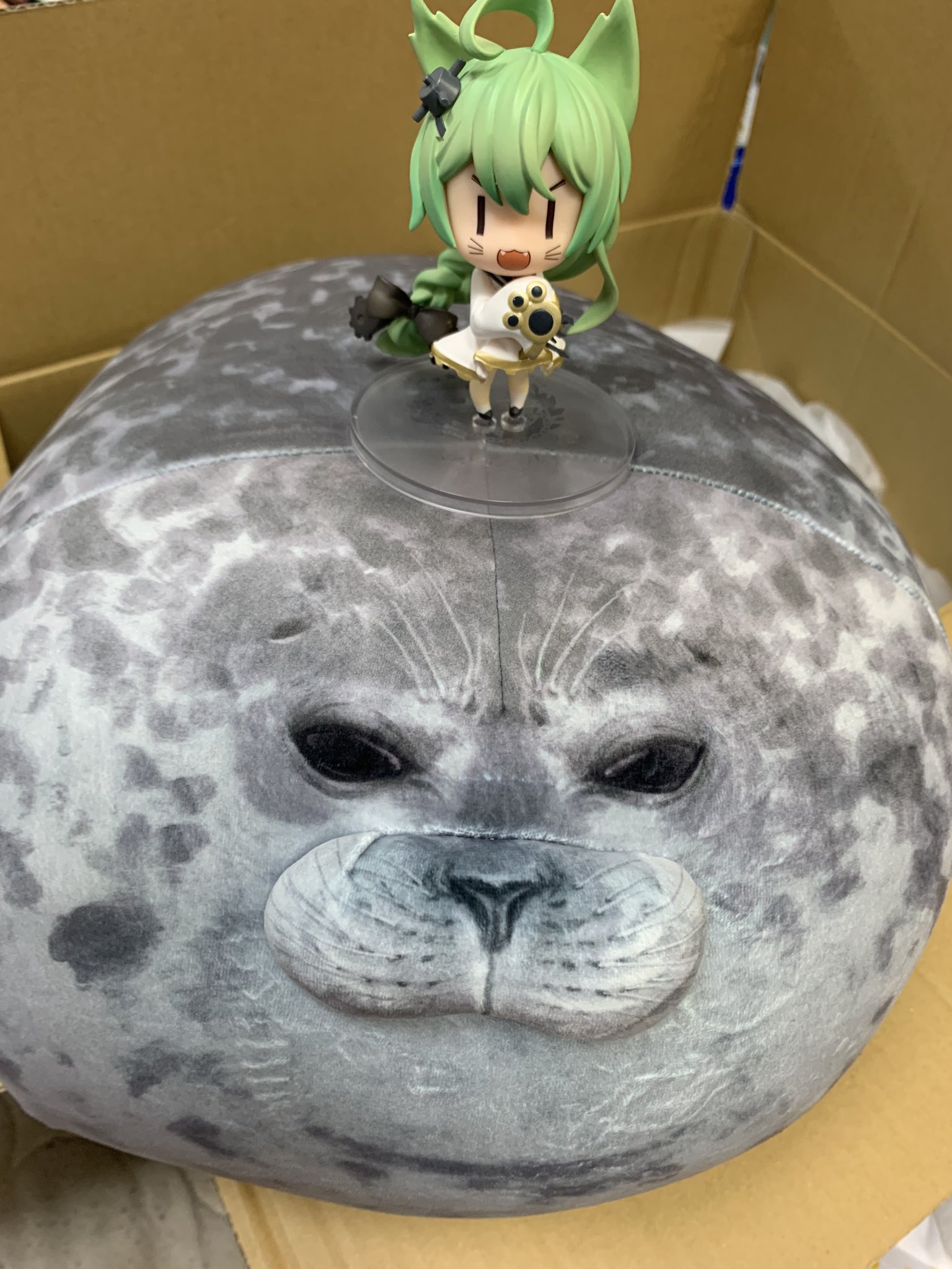 よんこ アズレン舞鶴 Kkk Man ゴマフとタテゴトアザラシは赤ちゃんすんごいかわいいのです この画像の はワモン 輪紋 アザラシさんですね その名の通り輪みたいな模様が特徴でかわいいのです 家にクッションがあります T Co Xypdewnxnj