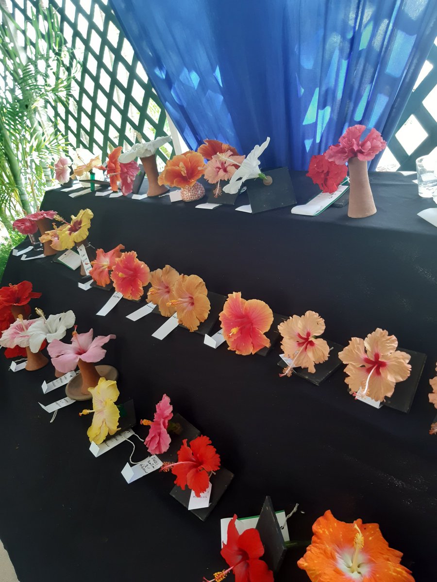 Claire Batten tweet media