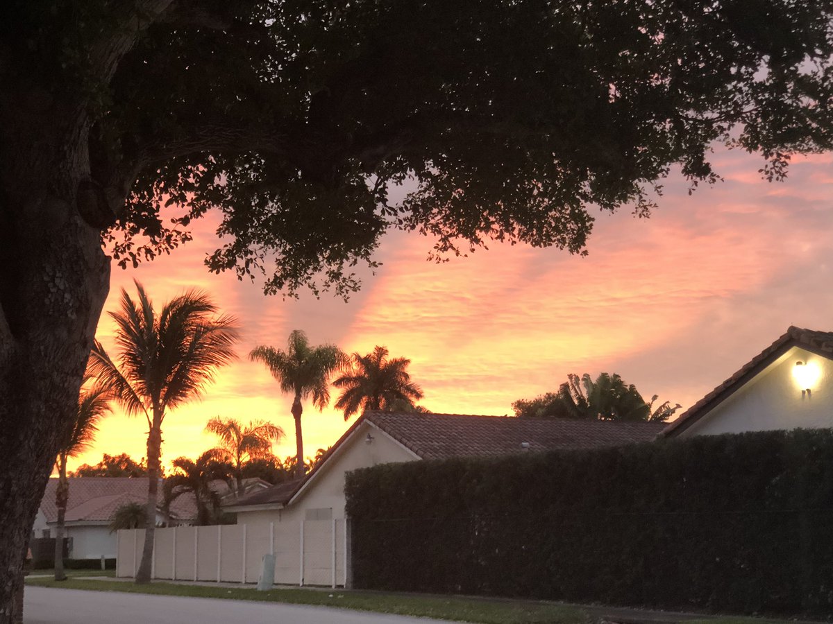 demonshadow72's tweet photo. Look at those #colors 🙃 #MiamiDade #miami #MIA #sun #sunrise #sunrisephotography #sunriseoftheday #palmtreesunset https://t.co/DkxWzlM0DH