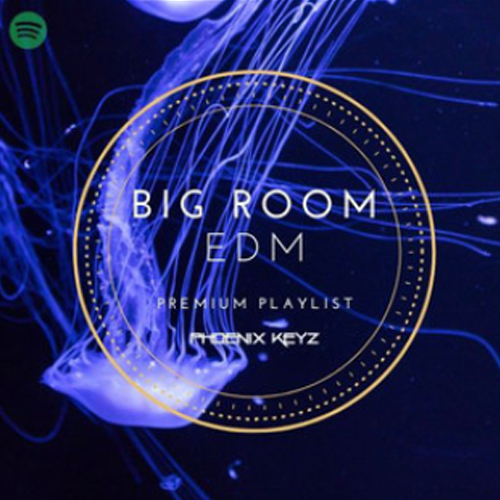 profimusic's tweet photo. @annalux_music & @faderhead on "Big Room EDM | Premium Playlist" @Spotify by @PhoenixKeyz πΆ #PhoenixKeyz #profimusic
playlist: https://t.co/JrBbsmvxCJ
track: https://t.co/AtZVguY5GC https://t.co/JnfN0D560I