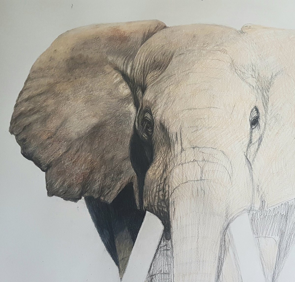 Its all in the shading. I love seeing it develop, how the darks and lights transform it from 2d to 3d, pushing parts back and bringing parts forward.