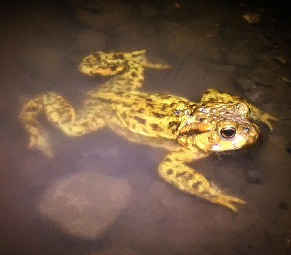 Sussex ARG tweet media