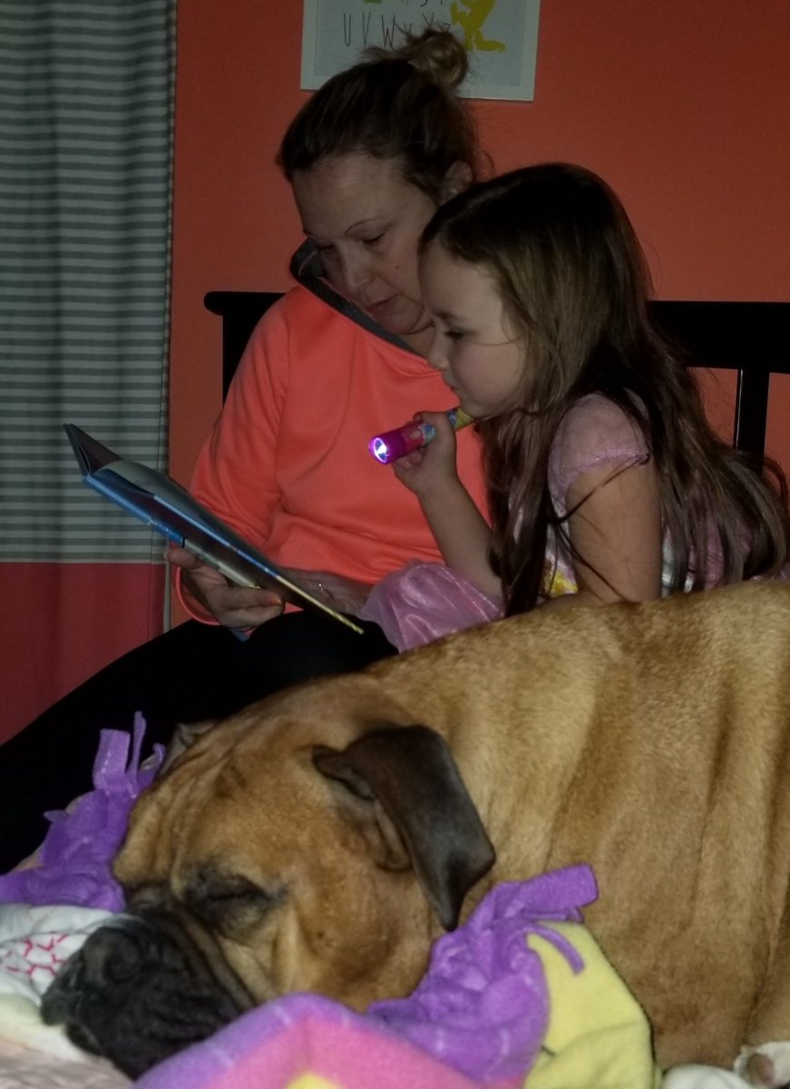 Steelers5886's tweet photo. We put the dog to sleep with our bedtime story! @FerndaleEarlyEd #AACPSReadWithMe https://t.co/M7MqKpmVLc