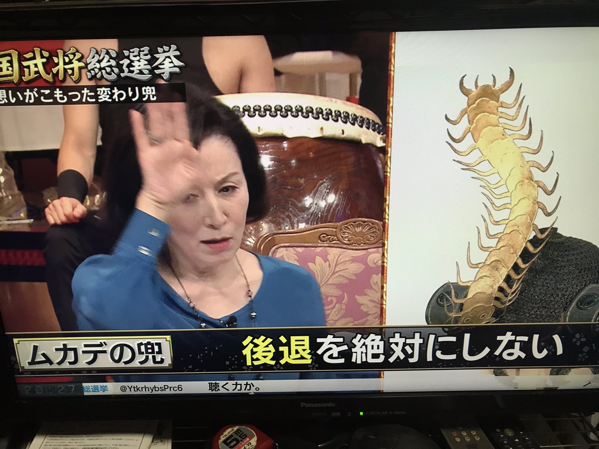 ヅラ ありがとうございます ムカデは前進しかしないということでトンボと同様に戦国武将などに好まれていたようです