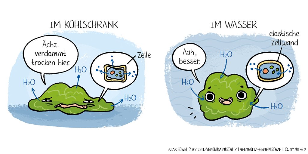 Comic: Véro Mischitz | Helmholtz, CC-BY-ND 4.0