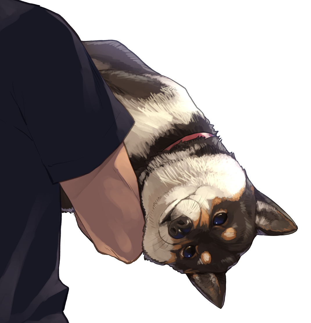 あの子がこっちを見ている 