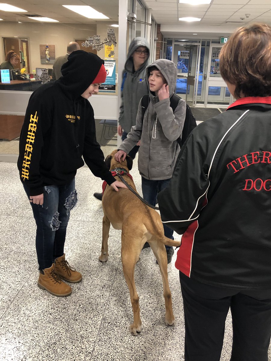 CollegeavenueSS's tweet photo. Our furry friends have returned to greet our students 🐕🐶
#youreupforthechallenge #CASScares #celebratingeveryday @CollegeavenueSS @cass.knights https://t.co/lxye3LE3cL