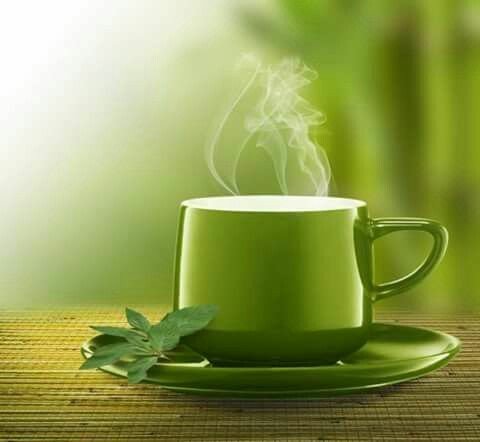 싫어하는 사람하고는
아무리 맛 있는 음식도
같이 먹기 싫은거야...

마음에 들지 않는 사람은
아무리 시간이 많아도
내어주기 아까운 법이지..

싫으면 다하기 싫어지는거야..
마음은 거짓말을 못 하지...