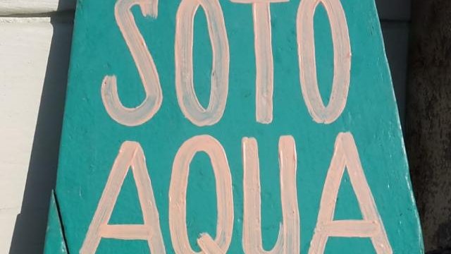 ellustrin's tweet photo. Nel fine settimana siete passati entrambi da noi al SotoAqua e vi è piaciuto, siete miei cari amici , usate twitter e lottate per il bene, stringete amicizia please. @domitilla @PietroTessarin la prossima volta remeremo assieme :) https://t.co/0fn98e2zYn
