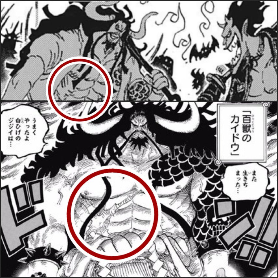 カイドウは誰に負けた 相手や敗北回数も気になる 漫画ネタバレ感想 考察の庭