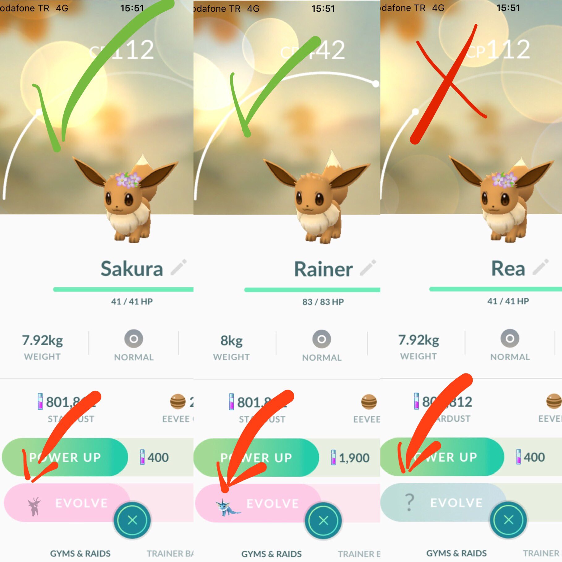 Pokemon go eevee evolution names