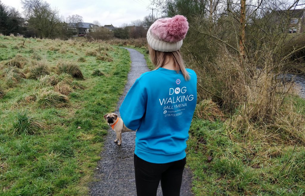 Time for Walkies!! – Dog Walking Ballymena ballymena.today/2020/01/27/tim…