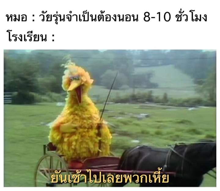 309 not found tweet media
