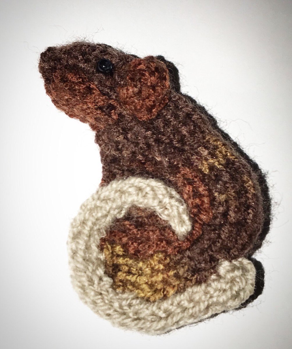 SpoolRebel's tweet photo. Excited to share this item from my #etsy shop: Handmade Spool Knit Rat Brooch - with lockable pin https://t.co/ikPsYH3HsM

#rats #ratties #rat #pet #pets #fancyrat #YearoftheRat #ChineseNewYear #handmade #knit #knitting #spoolknit #brooch #pin #craft #unique #love https://t.co/sHI4RyCIaj