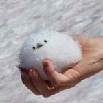 かわいいシマエナガを手中にｗ雪玉でできたシマエナガさん!