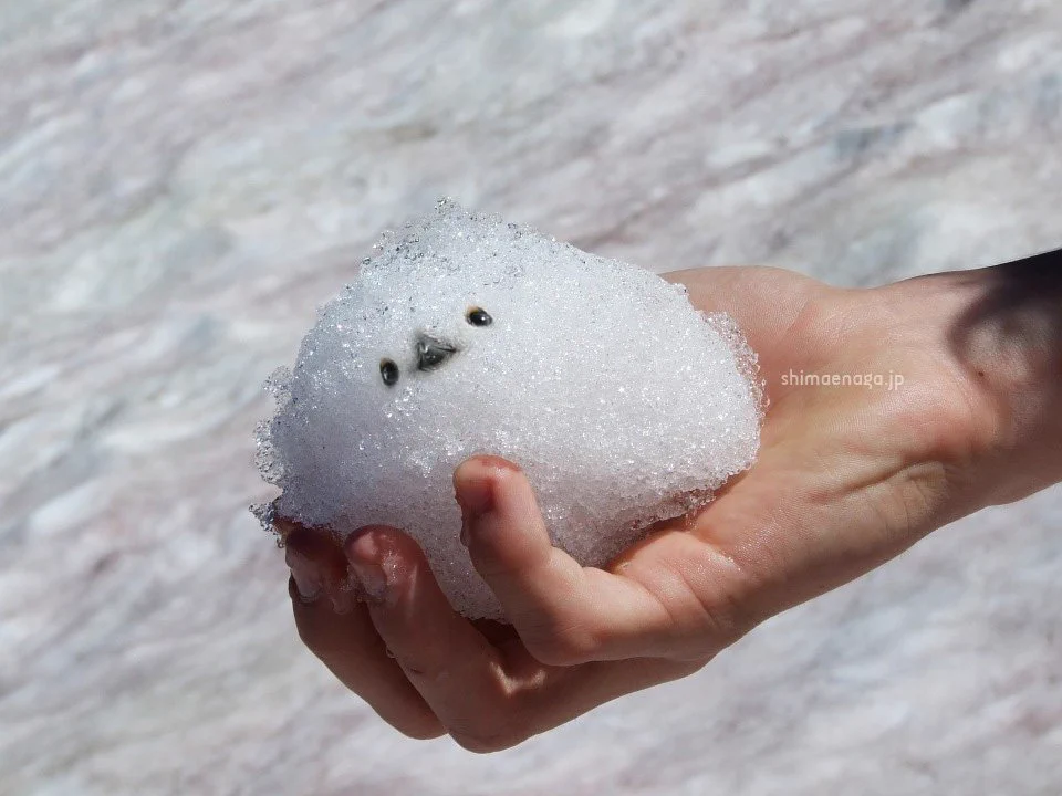かわいいシマエナガを手中にｗ雪玉でできたシマエナガさん！