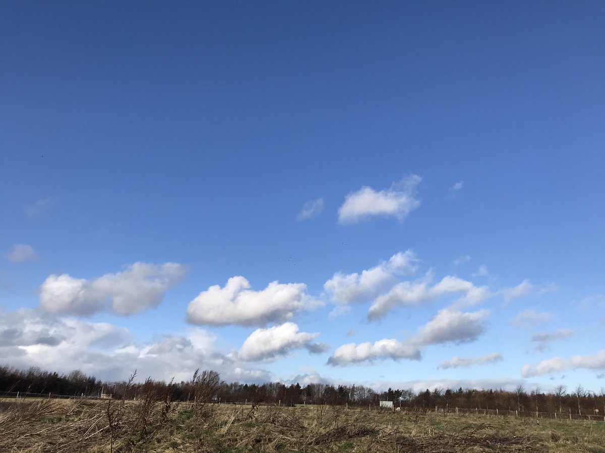 JamiesonFj's tweet photo. Start of the day @HWU_GA , shame half of the GAs turned up an hour early, including moi, #studyhour #FranDailyPhoto no.199 https://t.co/mBa9Nwdjnp