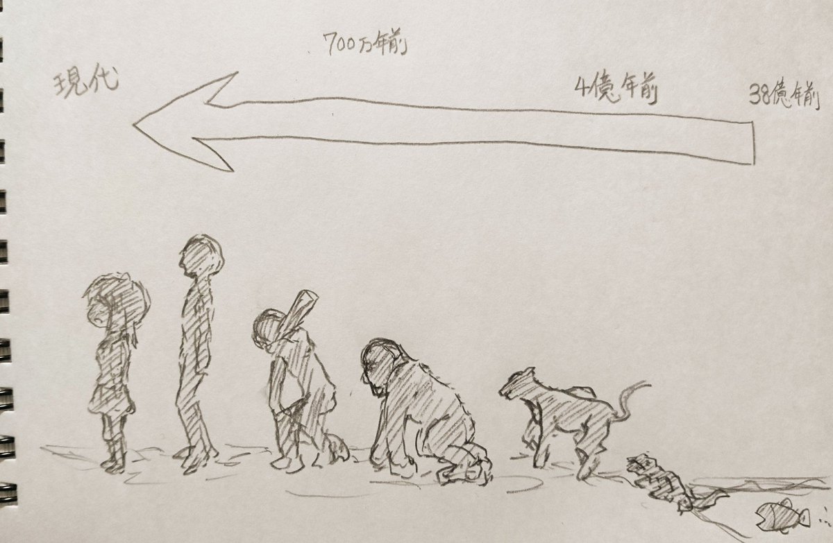 生物の進化について考えていました。 