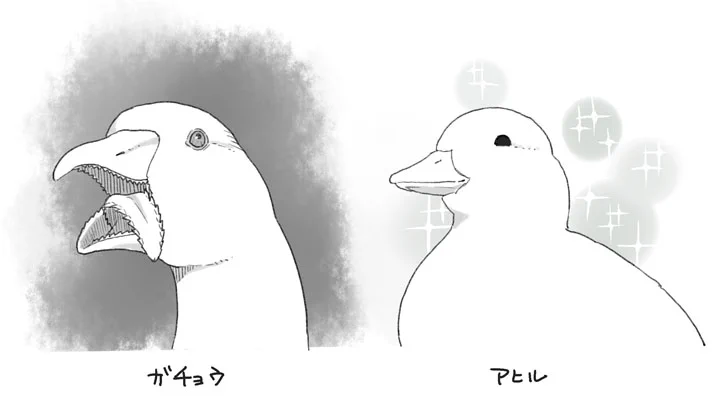 これがガチョウとアヒルの違い！よく見たら全然違う‼