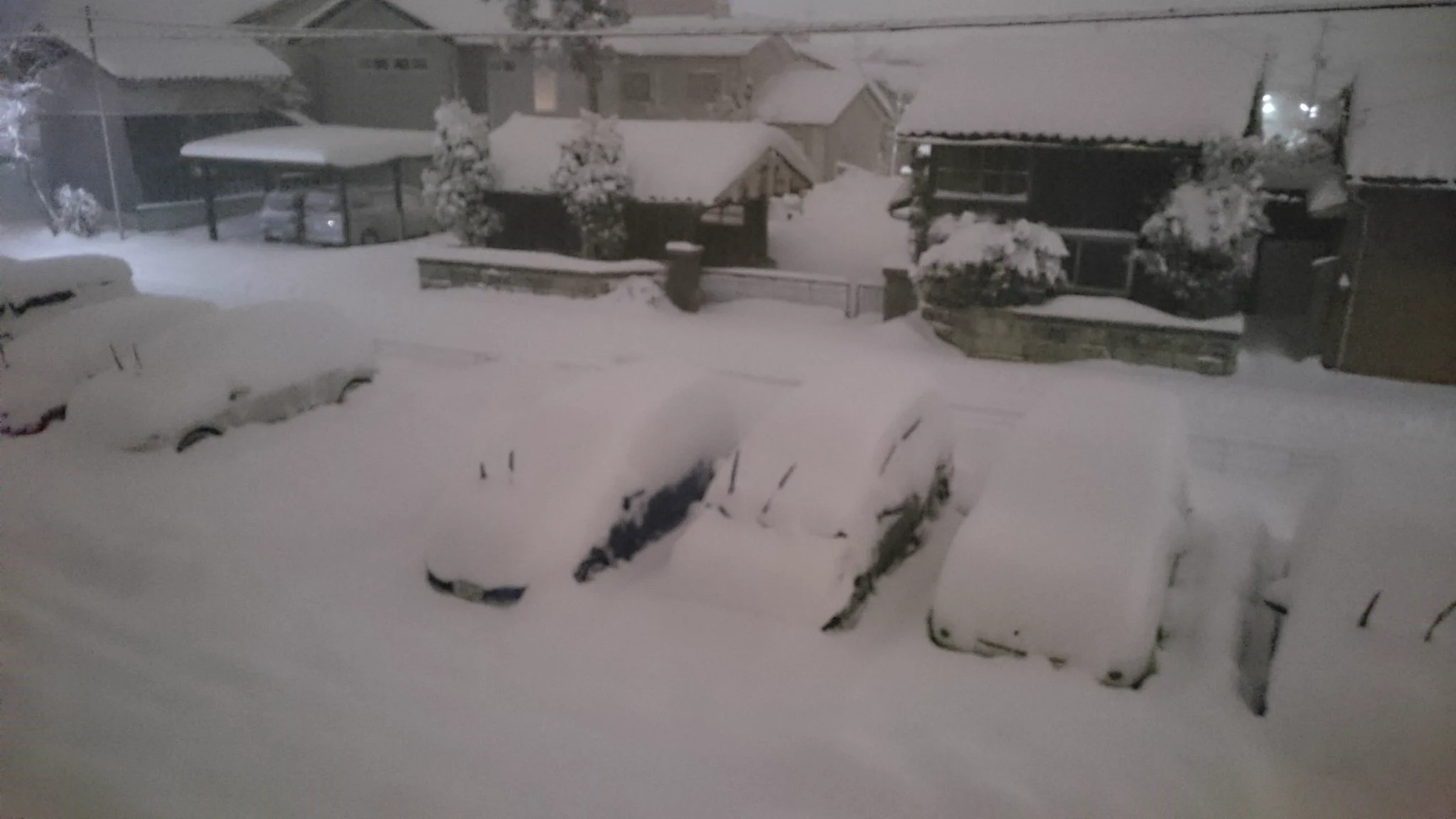 @satoemon2020 北陸の雪だとやっぱりこれくらいだと大雪ですね。 