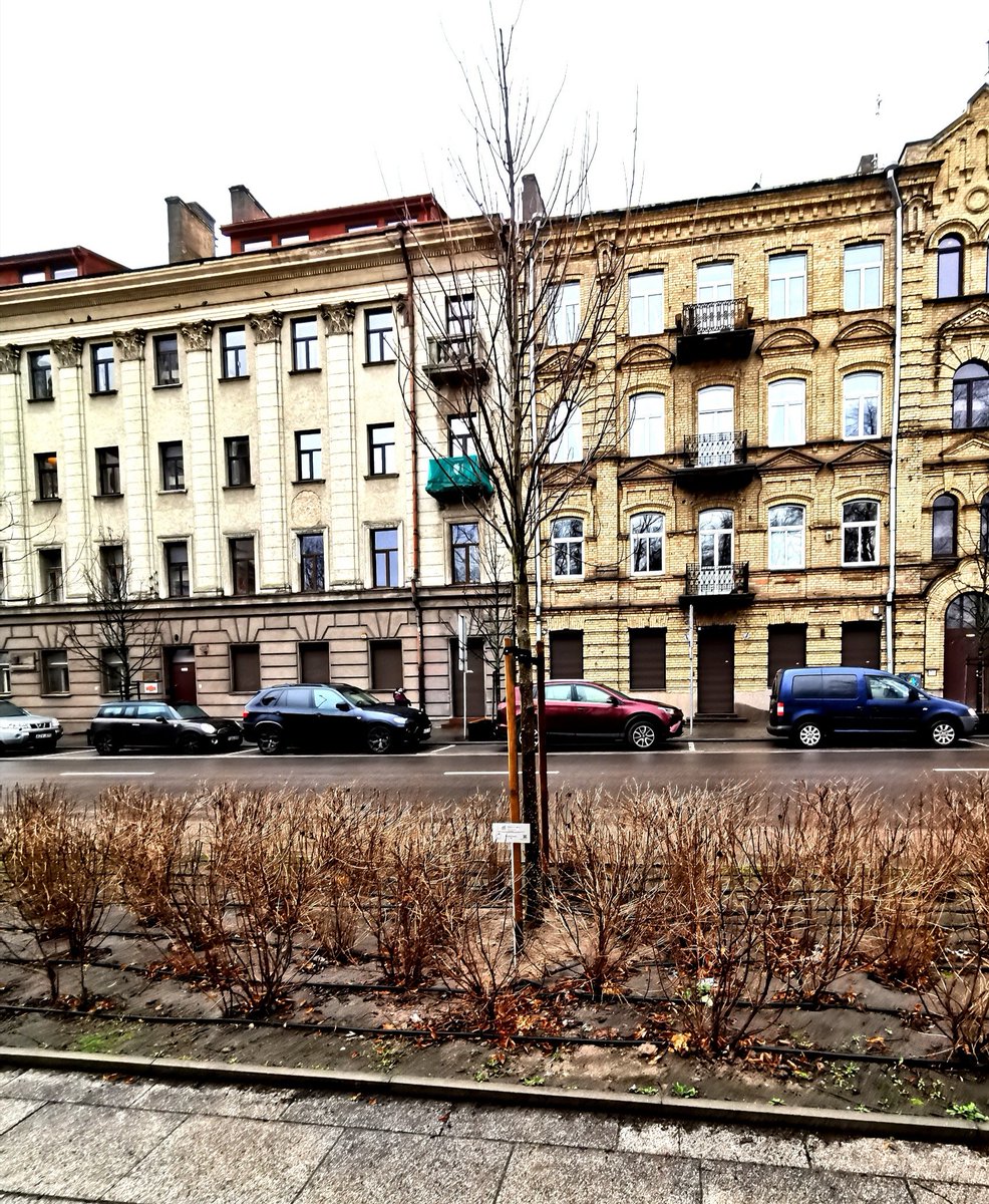 Green city Vilnius has one tree more! To compensate the CO2 Emissions we caused during the Project of <a href="/EUKI_Climate/">European Climate Initiative</a> Training of Managers for Urban Redevelopment in Lithuania #IWO_Berlin planted a silver maple at Lukiškės Square in Vilnius.
