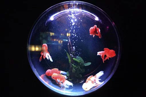 ICEUPC's tweet photo. Què significa innovar en docència? I també conversa Fishbowl: “A quins problemes ens enfrontem com a docents?” 
Avui a la InnoEnergy Local Teachers Conference 2020.
@ETSEIB_UPC @InnoEnergyEU @CITCEA @la_UPC 
https://t.co/15D4JVPm9Z https://t.co/g7EpRQxbem