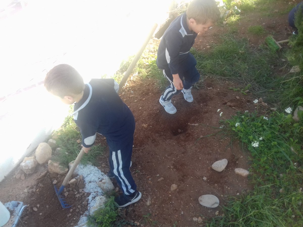 AlCastle8's tweet photo. Green fingers at work this afternoon. #LESGettingBetter @LaudeLES https://t.co/cKWzaBikKh