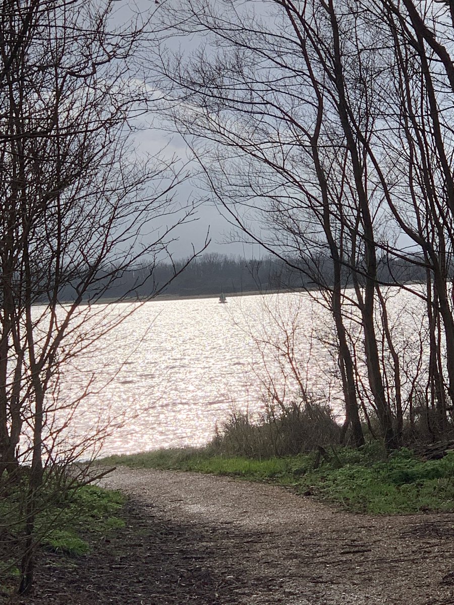 Evelynwijnton's tweet photo. #wandelen met #luna #kortgene #veersemeer #cairn #cainterrier #happydog #zeeland #fanvanzeeland https://t.co/IYrWlDe5Ce