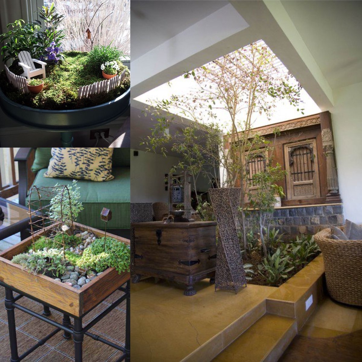 LakelandPlants's tweet photo. You’d like an indoor garden you say? Well from simple to extreme, there are lots of excellent ideas out there. Check out these and be inspired! #indoorgardening #wintergrowing #plantlove https://t.co/a3PUkr66ye