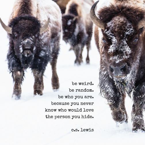 ncctk's tweet photo. #mondaymotivation #cslewis #quotes #Jesus #saved #loved #hope #encouragement #faith #Godslove https://t.co/7Z633wcKT9