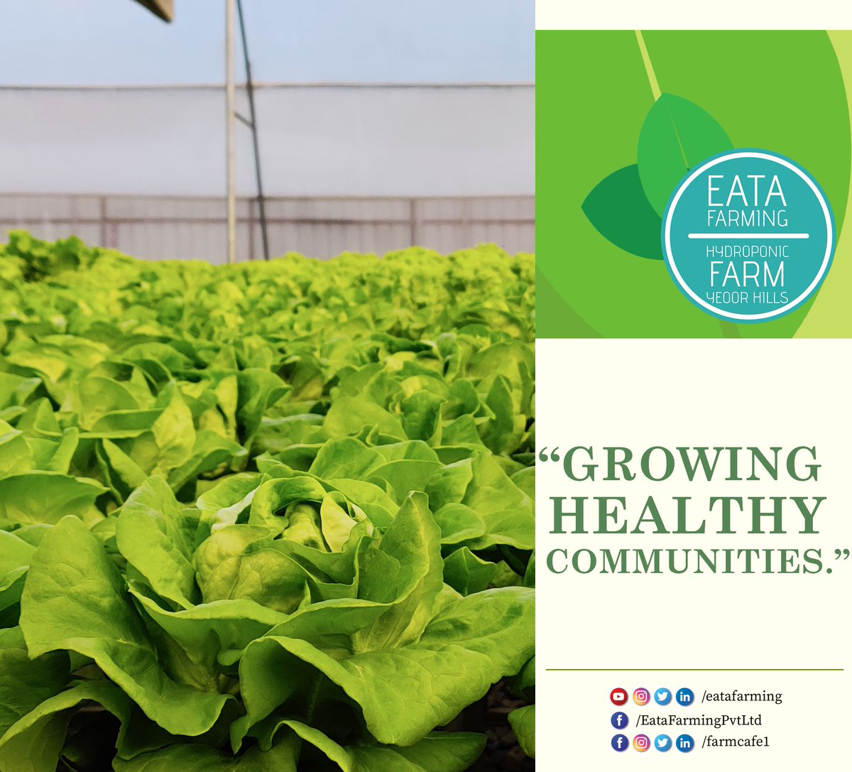 EataFarming's tweet photo. Affordable goodness for all.
.
#organicfood  #butterheadlettuce #organic #vegan #natural #healthyfood #nutrition #healthylifestyle #organicfood #eatingorganic #chooseorganic #thinkorganic #eatafarming https://t.co/R6B4GZTTq1