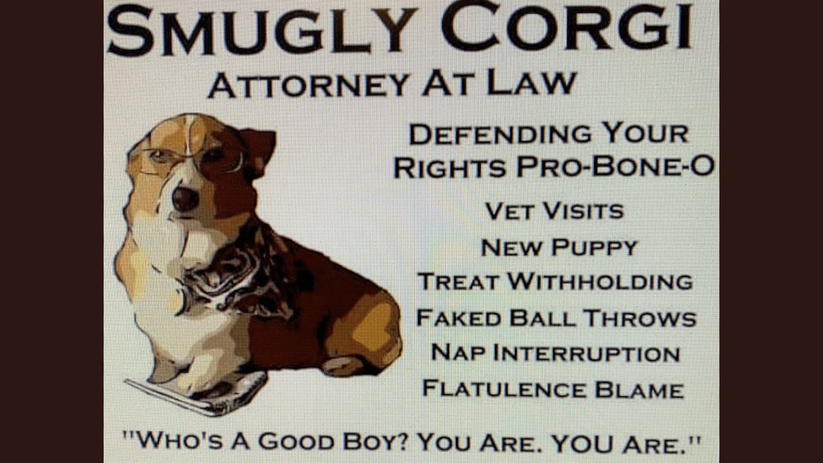 JoeGonz67565689's tweet image. 