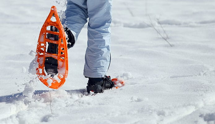 SDDriveshaftDis's tweet photo. 5 Reasons to Start Snowshoeing
https://t.co/0pcolRIyzE
#exercise #affordable #fun #winteractivity https://t.co/eI7i9yuCg4