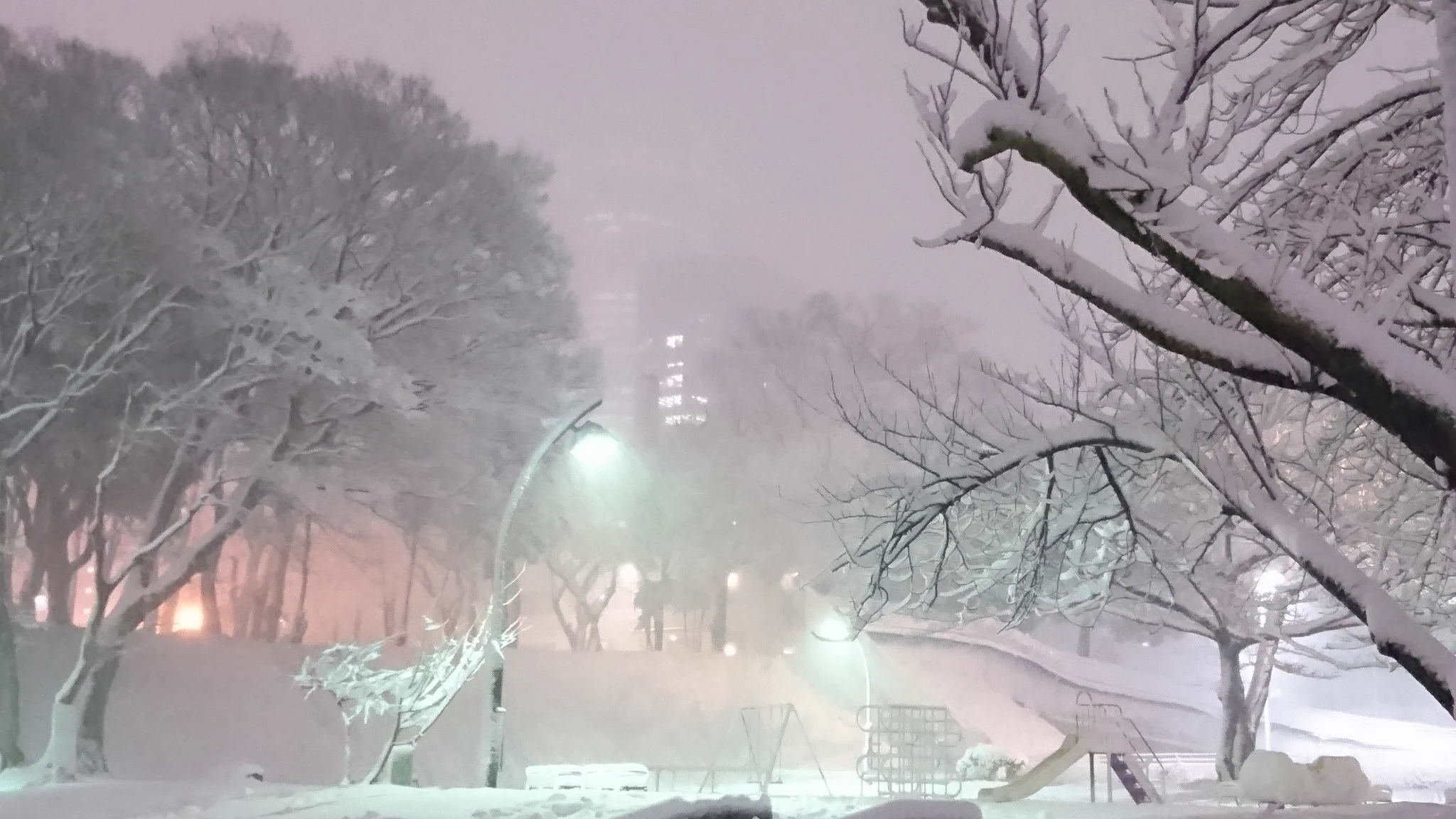 @satoemon2020 なお2018年1月22日 
東京、南青山 