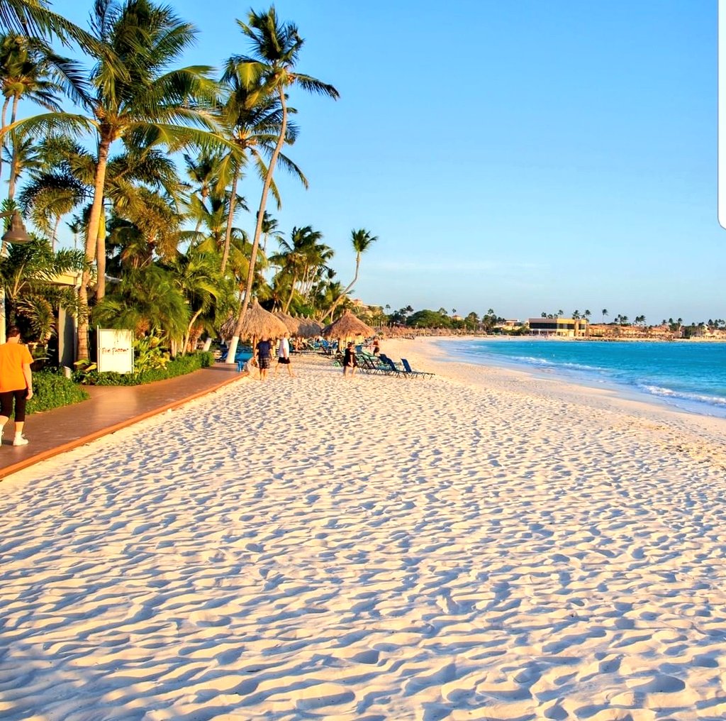 VickyConnor's tweet image. The only thing getting me through the cold... 4 months to go #aruba @aruba