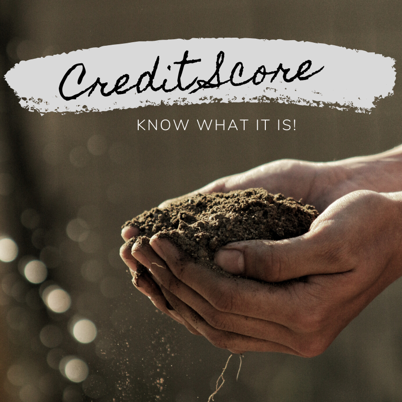 We have many programs for all types of credit but determining the path forward is always easiest if you know your score ahead of time.  #agfinance #aglending #agribusiness #fintech #farming #agriculture #ranch #farm #farming #thankarancher #familyfarm #aglife #agdaily #agloans