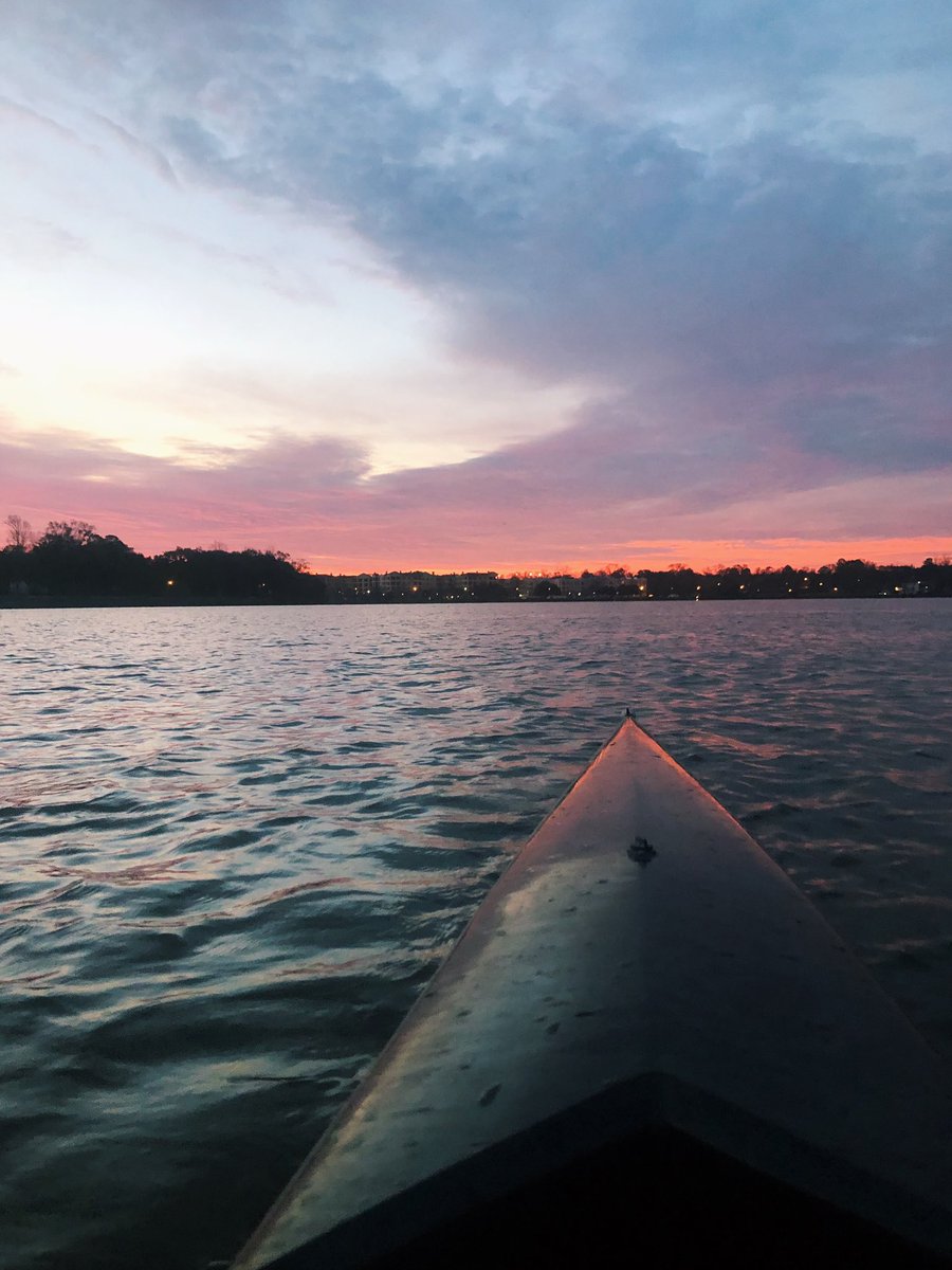 LSU Rowing Club tweet media
