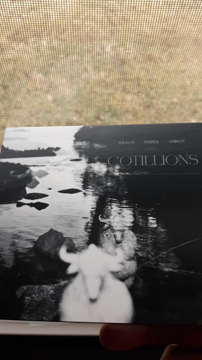 splocal365's tweet photo. It's a January miracle! @Billy #cotillions arrived! I've been waiting to listen until I had the physical copy. It just got here. https://t.co/5oLJSdDp9Z