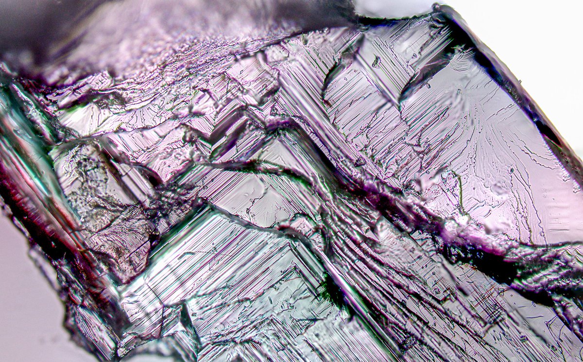 AkuHeinonen's tweet photo. Cubic {100} cleavage of road #salt under the #polarizingmicroscope. Recalibrating the teaching #microscope @geo_hel with some unconventional materials... width of the image ca. 150 micrometers... #mineralogy #crystallography #crystal #microscopy https://t.co/AtrIh4wcYw