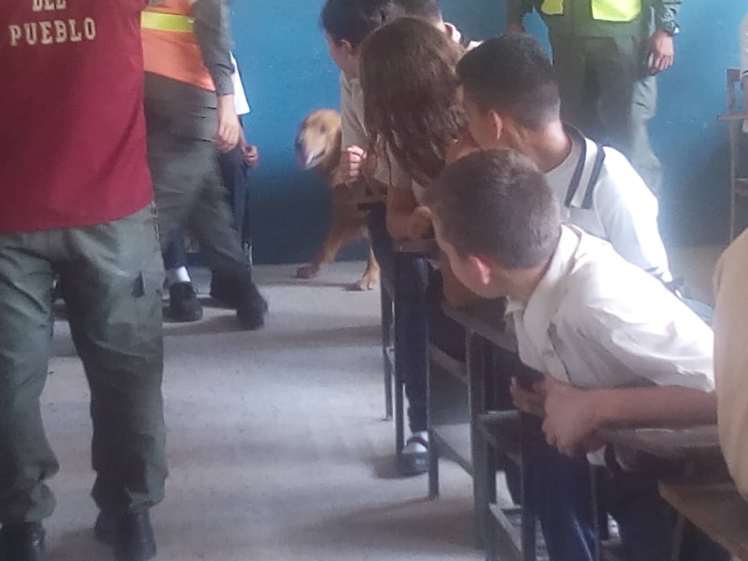 #23Enero Visita del personal de la @ONAoficial #Tachira en tarea de patrullaje preventivo y formativo sobre sustancias ilícitas en las instalaciones del <a href="/LNCiprianoC/">Liceo Nacional Cipriano Castro</a> #VegaDeAza #Torbes @MPPEDUCACION <a href="/charlychaves/">Charly Rojas Chaves</a> @ZonaEducTachira