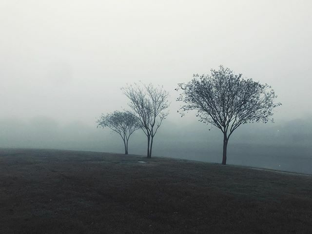 Foggy morning. Picture by @cakeladiestx .
.
#fog #morning #photography #littleelm #foggymorning ift.tt/2Gobyc6