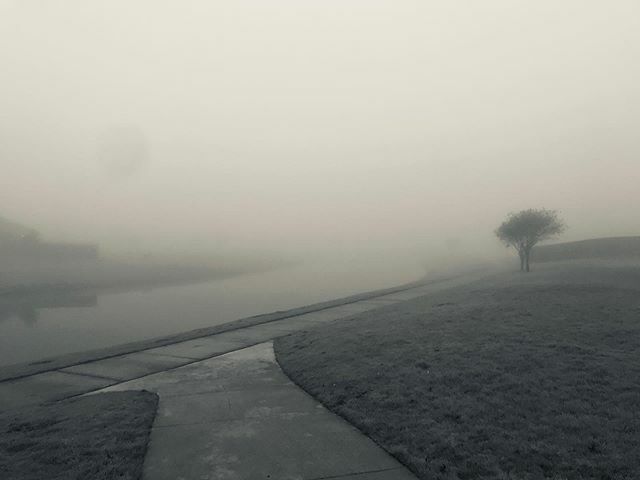 Another one shot by @cakeladiestx .
.
#fog #foggymorning #morning #photography #littleelm ift.tt/3aK198t