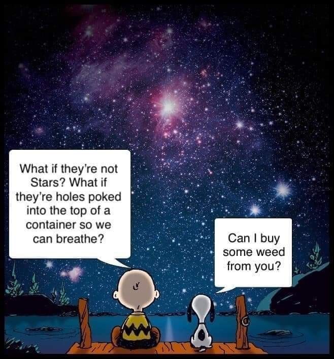 El Patio tweet media