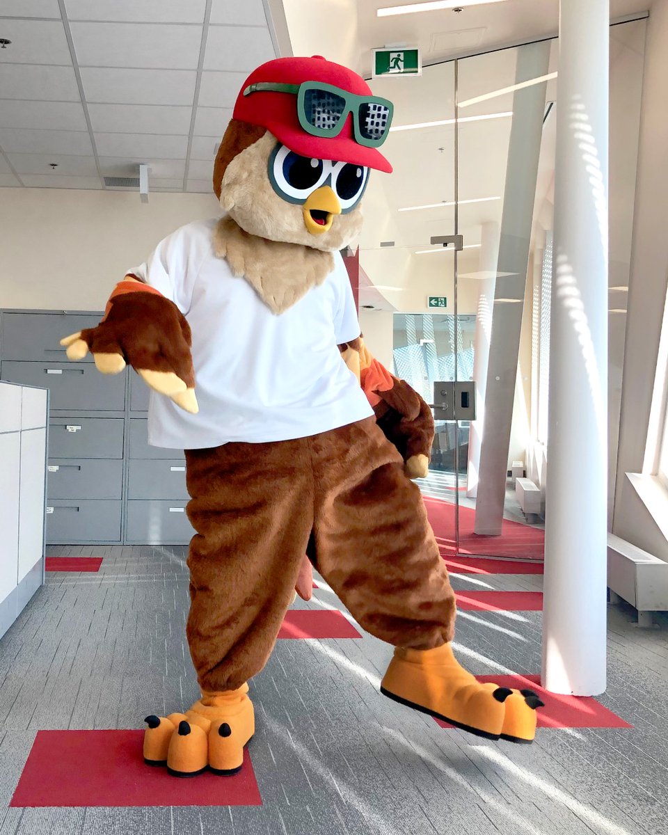 vaughanpl's tweet image. Good Morning from Ollie!!! I’d like you to give a warm welcome to our newest colleague, Ollie! Here is VPL&apos;s #mascot in all its felted glory! Be sure to look out for Ollie when you attend VPL&apos;s programs 🦉📚🕶️#Libraryowl #Ollie