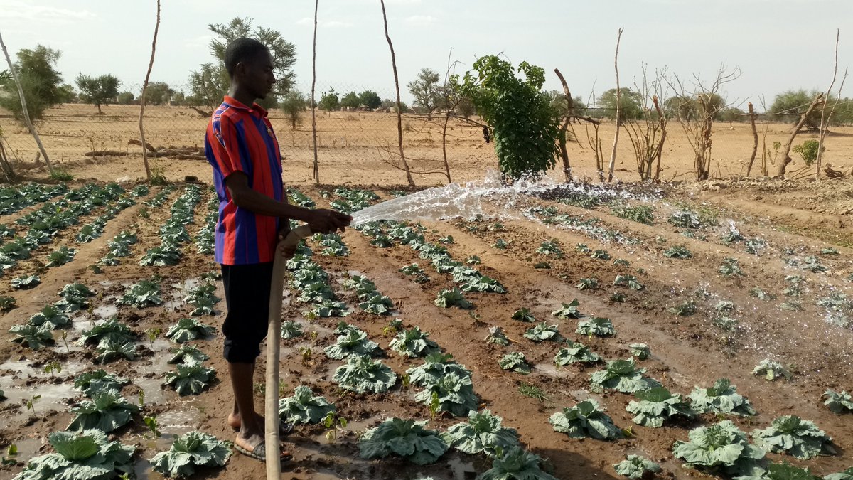 La création d’emplois durables au cœur de la réintégration des #migrants de retour au #BurkinaFaso 🇧🇫 Découvrez comment l'OIM avec l'appui de l'#UE aide les migrants à créer des emplois durables👉👉  bit.ly/38Cvcgq #AfricaTrustFund <a href="/ONUmigration/">OIM - ONU Migration</a> #Migration